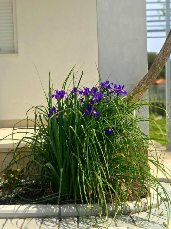 Apartments Kraja Улцинь Экстерьер фото
