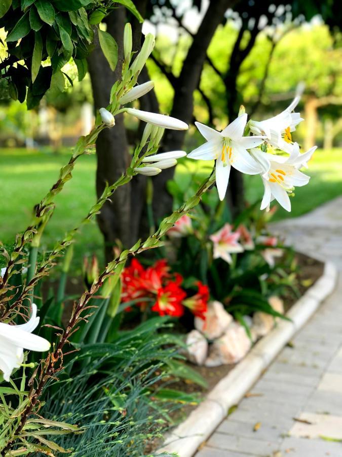 Apartments Kraja Улцинь Экстерьер фото